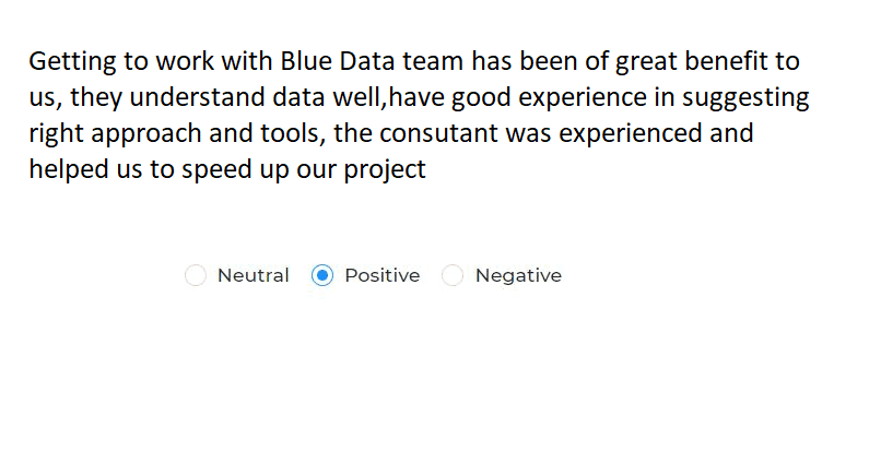 blue data consulting analytics ai software solutions